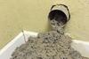 Dryer vent plugged